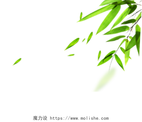 绿色卡通手绘小清新竹子免抠素材
